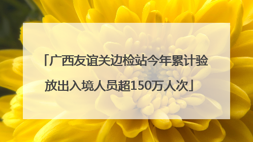 广西友谊关边检站今年累计验放出入境人员超150万人次