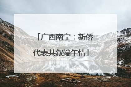 广西南宁：新侨代表共叙端午情