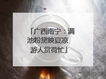 广西南宁：满池粉黛映夏凉 游人赏荷忙