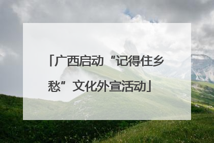 广西启动“记得住乡愁”文化外宣活动