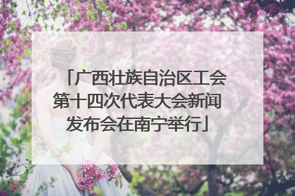 广西壮族自治区工会第十四次代表大会新闻发布会在南宁举行