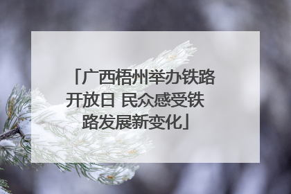 广西梧州举办铁路开放日 民众感受铁路发展新变化