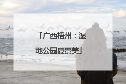 广西梧州：湿地公园夏景美