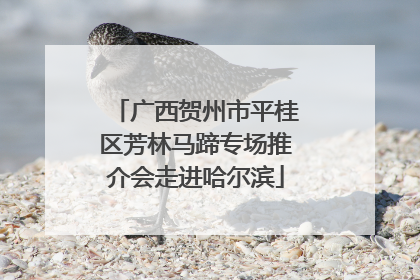 广西贺州市平桂区芳林马蹄专场推介会走进哈尔滨