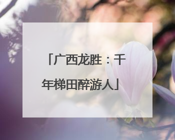 广西龙胜：千年梯田醉游人