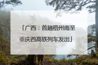 广西：首趟梧州南至重庆西高铁列车发出