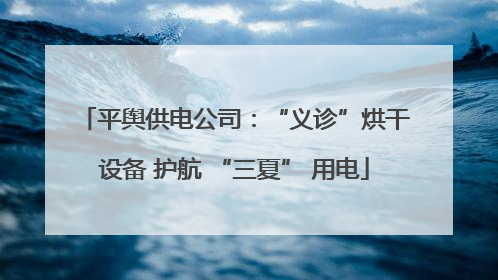平舆供电公司：“义诊”烘干设备 护航 “三夏” 用电