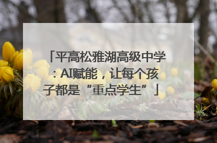 平高松雅湖高级中学：AI赋能，让每个孩子都是“重点学生”