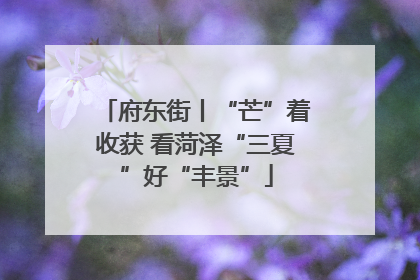 府东街丨“芒”着收获 看菏泽“三夏”好“丰景”