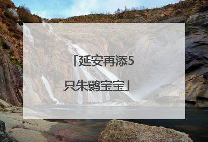 延安再添5只朱鹮宝宝