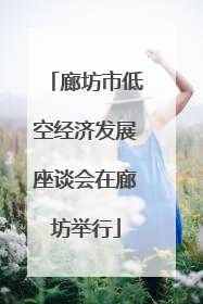 廊坊市低空经济发展座谈会在廊坊举行
