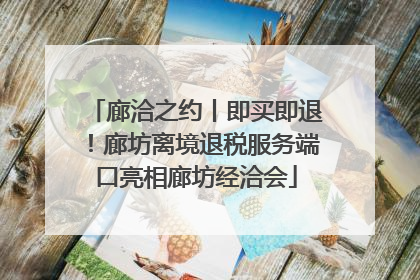 廊洽之约丨即买即退！廊坊离境退税服务端口亮相廊坊经洽会