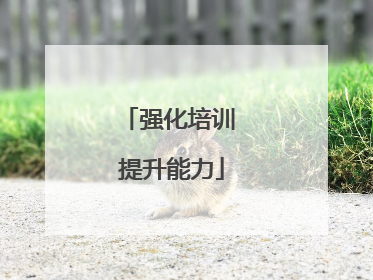 强化培训 提升能力