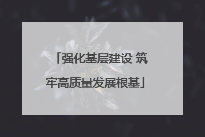 强化基层建设 筑牢高质量发展根基