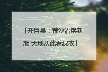 开鲁县：荒沙沼焕新颜 大地从此着绿衣