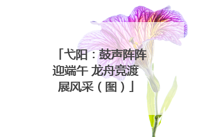 弋阳：鼓声阵阵迎端午 龙舟竞渡展风采（图）