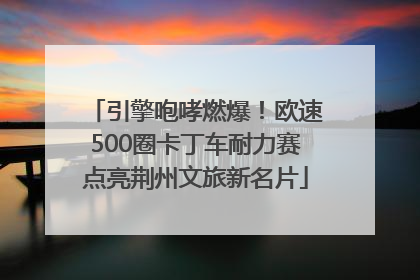 引擎咆哮燃爆！欧速500圈卡丁车耐力赛点亮荆州文旅新名片