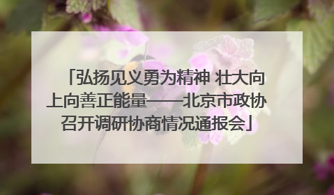 弘扬见义勇为精神 壮大向上向善正能量——北京市政协召开调研协商情况通报会