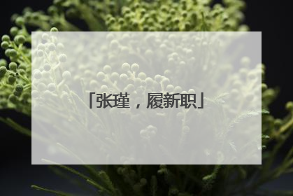 张瑾，履新职