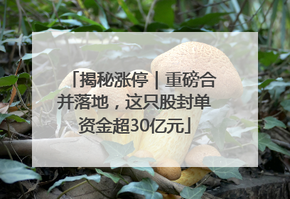 揭秘涨停｜重磅合并落地，这只股封单资金超30亿元