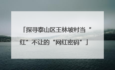 探寻泰山区王林坡村当“红”不让的“网红密码”