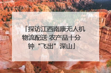 探访江西南康无人机物流配送 农产品十分钟“飞出”深山