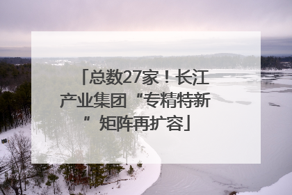 总数27家！长江产业集团“专精特新”矩阵再扩容