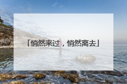 悄然来过，悄然离去