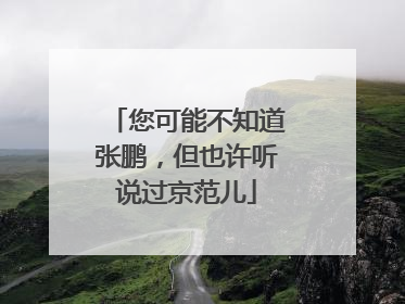 您可能不知道张鹏，但也许听说过京范儿