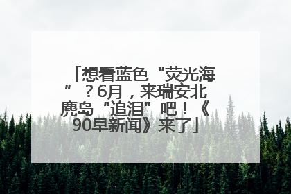 想看蓝色“荧光海”？6月，来瑞安北麂岛“追泪”吧！《90早新闻》来了