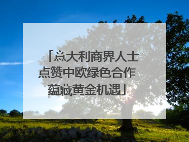 意大利商界人士点赞中欧绿色合作蕴藏黄金机遇