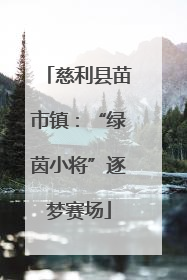 慈利县苗市镇：“绿茵小将”逐梦赛场