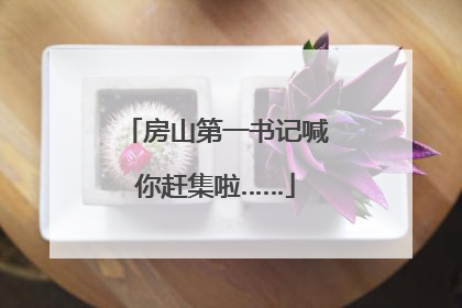 房山第一书记喊你赶集啦……