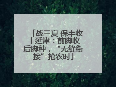 战三夏 保丰收丨延津：前脚收 后脚种，“无缝衔接”抢农时