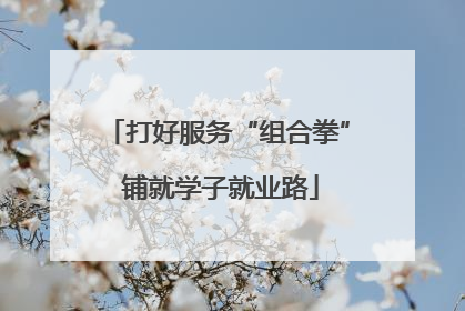 打好服务“组合拳” 铺就学子就业路