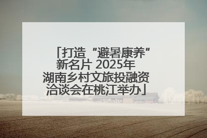 打造“避暑康养”新名片 2025年湖南乡村文旅投融资洽谈会在桃江举办