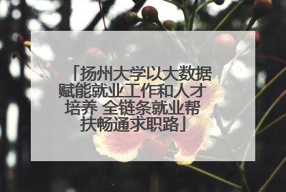 扬州大学以大数据赋能就业工作和人才培养 全链条就业帮扶畅通求职路