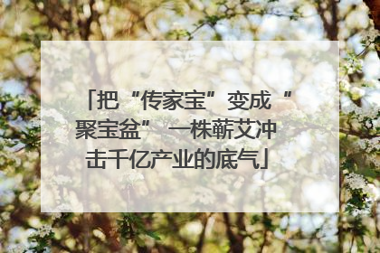 把“传家宝”变成“聚宝盆” 一株蕲艾冲击千亿产业的底气