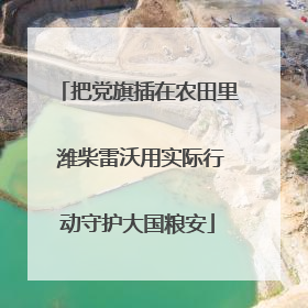 把党旗插在农田里 潍柴雷沃用实际行动守护大国粮安