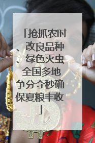 抢抓农时、改良品种、绿色灭虫 全国多地争分夺秒确保夏粮丰收