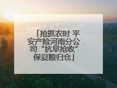 抢抓农时 平安产险河南分公司“抗旱抢收”保夏粮归仓