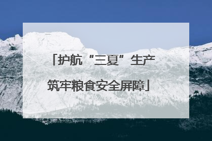 护航“三夏”生产 筑牢粮食安全屏障