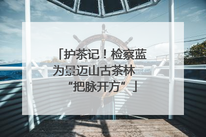 护茶记！检察蓝为景迈山古茶林 “把脉开方”