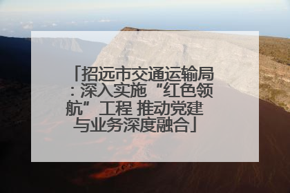招远市交通运输局：深入实施“红色领航”工程 推动党建与业务深度融合