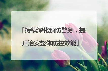 持续深化预防警务，提升治安整体防控效能