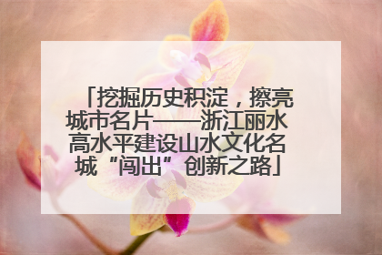 挖掘历史积淀，擦亮城市名片——浙江丽水高水平建设山水文化名城“闯出”创新之路