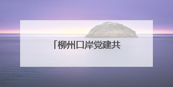 柳州口岸党建共同体“党建大讲堂”活动举行