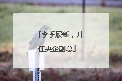 李季履新，升任央企副总