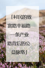 村民的致富路幸福路 一条产业路背后的公益脉络