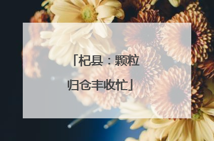 杞县：颗粒归仓丰收忙